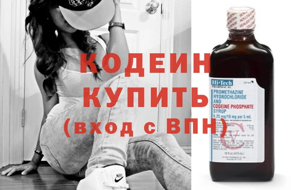 индика Зеленодольск