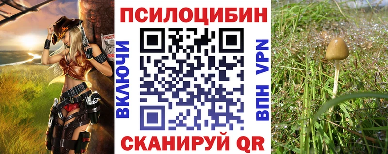 цена наркотик  Куса  Галлюциногенные грибы прущие грибы 